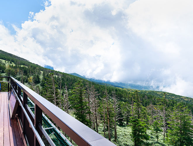 自然の中でリフレッシュができる保養所